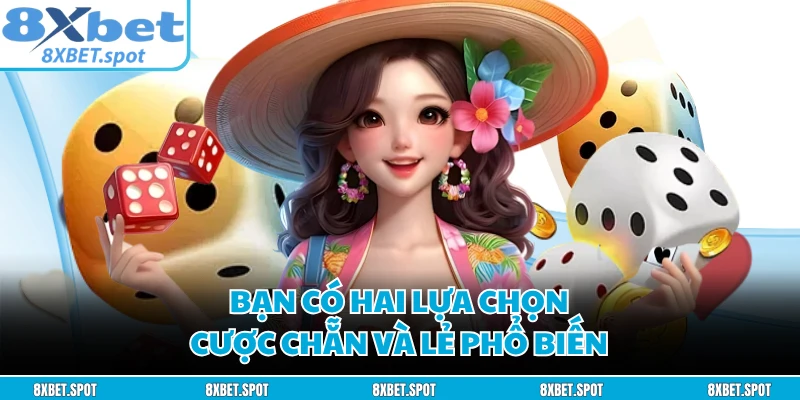 Bạn có hai lựa chọn cược chẵn và lẻ phổ biến