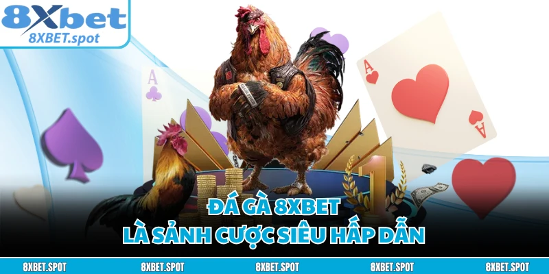 Đá gà 8XBET là sảnh cược siêu hấp dẫn