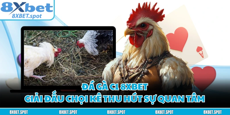 Đá Gà C1 8XBET - Giải Đấu Chọi Kê Thu Hút Sự Quan Tâm