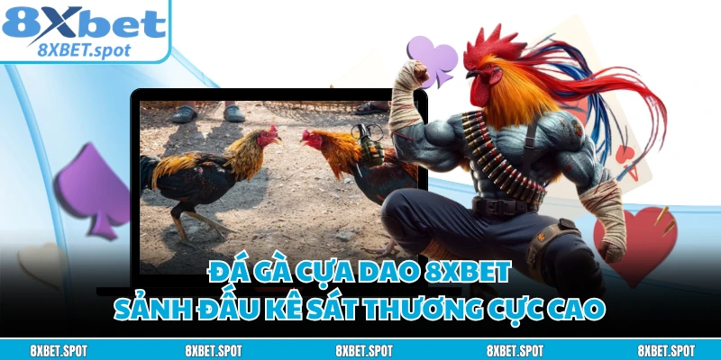 Đá Gà Cựa Dao 8XBET - Sảnh Đấu Kê Sát Thương Cực Cao