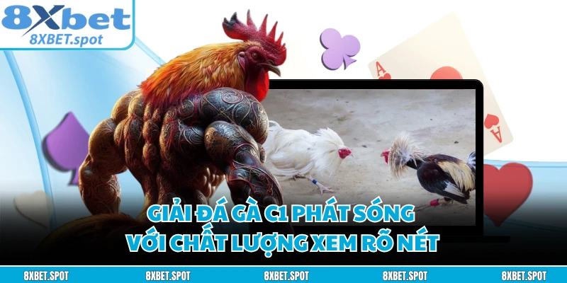 Giải đá gà C1 phát sóng với chất lượng xem rõ nét