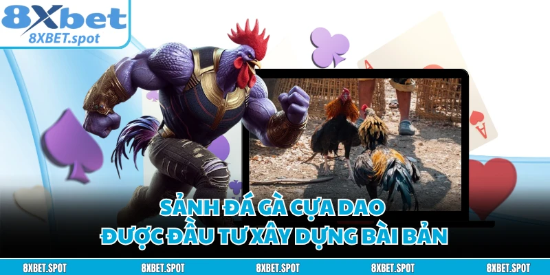 Sảnh đá gà cựa dao được đầu tư xây dựng bài bản